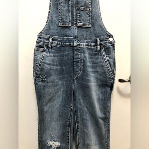 Silver Women’s Skinny Leg Jean Overalls
